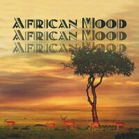 Magic Feelings - Tribal Drums Ambient & African Sound Therapy Masters