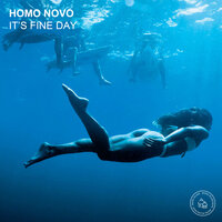 It's a Fine Day - Homo Novo