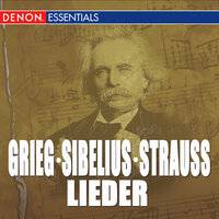 Lieder No. 4, Op. 27: Morgen Lied - Berliner Symphoniker & Eduardo Marturet & Berlin Symphony Orchestra & Рихард Штраус