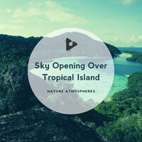 Playing Nature - Nature Sounds ASMR & Nature Atmospheres