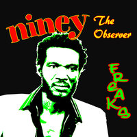 Say What You're Saying - Niney The Observer