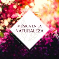 Música para el Desarrollo Creativo de los Niños - Musica para Bebes