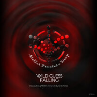 Falling - Wild Guess & Jakhira