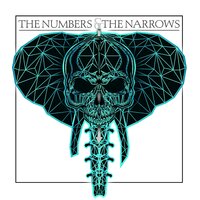 The Fifth - The Numbers & The Narrows