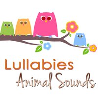 Nature Music (Soothing Sounds) - Rainforest Music Lullabies Ensemble