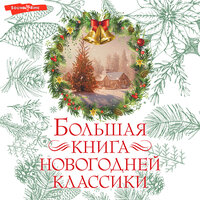 Большая книга новогодней классики. Часть 20 - Иван Букчин & Галина Чигинская & Игорь Князев & Роман Стабуров & Николай Федорцов & Андрей Одинцов