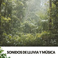 Vibraciones serenas del atardecer - Dog Relaxation & Rain Sounds ACE & Brain Timbre