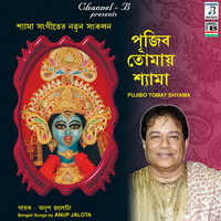 Nayan Tule Dekh Maa - Anup Jalota