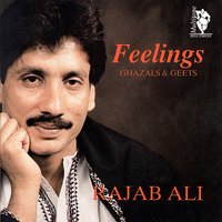 Tera Ah Ke Jana Gawara Nahin - Rajab Ali