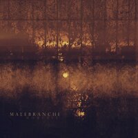 S'usent les trachées - Malebranche