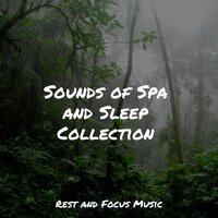 Sunny Meadows - Kings of Nature & Tranquil Music Sound Of Nature & The Sleep Specialist