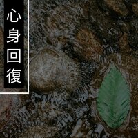 森を彩るリラクゼーション - 心身回復
