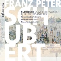 Piano Trio No. 2 in E-flat major Op. 100, D.929: Allegro moderato - Jan Vermeulen & Франц Шуберт & Christine Busch & France Springuel