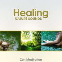 Bliss: New Age Music - Zen Soothing Sounds of Nature