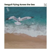 Soft Waves - Seas of Dreams