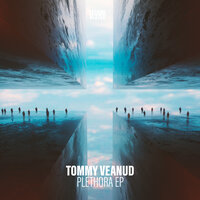 Plethora - Tommy Veanud