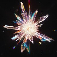 SHARDS - OBLXKQ