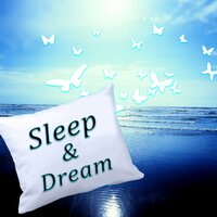 Lullaby Flute Melody - Sleep & Dream Academy