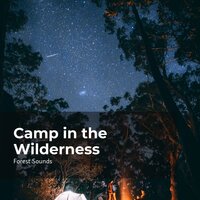 At Ease in the Woods - Ambient Forest & Forest Sounds & Rainforest Sounds