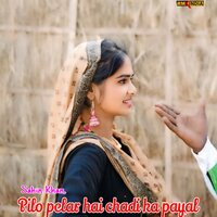 Pilo Pelar Hai Chadi Ka Payal - sahin khan