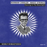 A Whiter Shade of Pale - Norman Candler & Norman Candler - Magic Strings