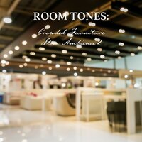 Crowded Furniture Store Ambience, Pt. 5 - Nowak Sommer