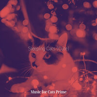 Tranquil (Relaxing Cats) - Music for Cats Prime