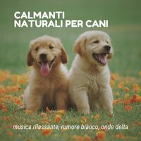 Felici e rilassati - Melissa Calma