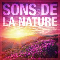 Sons de la mer 3: Vagues déferlantes - Bruits naturels