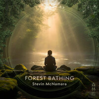 Shinrin Yoku, Revitalizing Forest Bathing - 432 Hz - Stevin McNamara