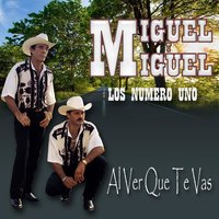 Lo del Agua al Agua - Miguel Y Miguel