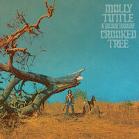 Big Backyard - Molly Tuttle & Golden Highway & Old Crow Medicine Show