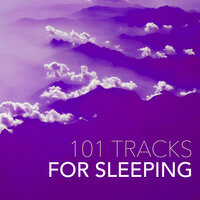 Baby Sleep Through the Night - Sleep Songs Divine