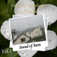 Rain Chamber - Rain Soundzzz Club & Thunder Storm & Music for Dogs