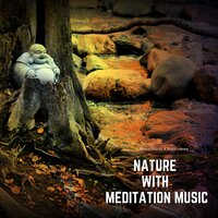 Between Two Stars (Nature Sounds) - Nature Sounds & Music Library