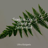 Las Gotas Caen Suavemente - Musica Relajante Para Dormir & Unidad de música zen relajante & Musica Para Dormir Profundamente
