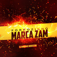 Forrozin de Vaquejada Vai Travando Com o Popô - DJ Mandrake Nordestino