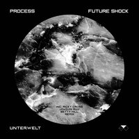 Age of Transience - Process