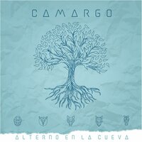 Perfecto - Camargo