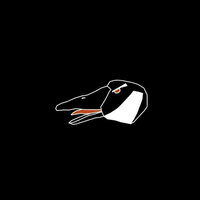 Atna - Savage Goose