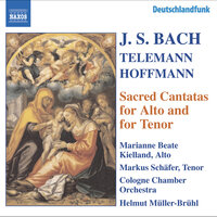Ich armer Mensch, ich Sündenknecht, BWV 55: Recitative. Erbarme dich! (Tenor) - Markus Schafer & Johann Sebastian Bach