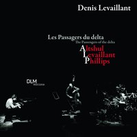 Pressing On - Denis Levaillant
