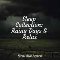 Surface Rain - ZEN & Big Sounds & Sonidos De Lluvia y Tormentas