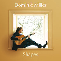 Shape Of My Heart - Dominic Miller & Sting & Budapest Film Orchestra & Nick Ingman