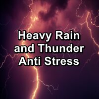 Heavy Rain and Thunder in the Rainy Forest in the Evening - Sounds of Thunder and Rain & Rain Relax & Rain Sounds for Sleeping