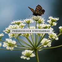 Geführte Meditation und Entspannung - Muskelentspannung Musik Welt