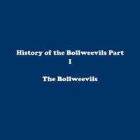 Stained Glass - The Bollweevils
