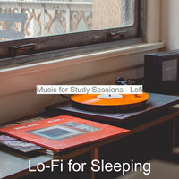 Wonderful Backdrop for Social Distancing - Lo-Fi for Sleeping