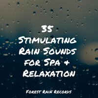 Woodland Ambience (Birds) - Spa Music Relaxation & Sleep Sounds & Deep Sleep Music Delta Binaural 432 Hz