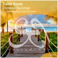 Endless Summer - David Surok & Natan Rosberg